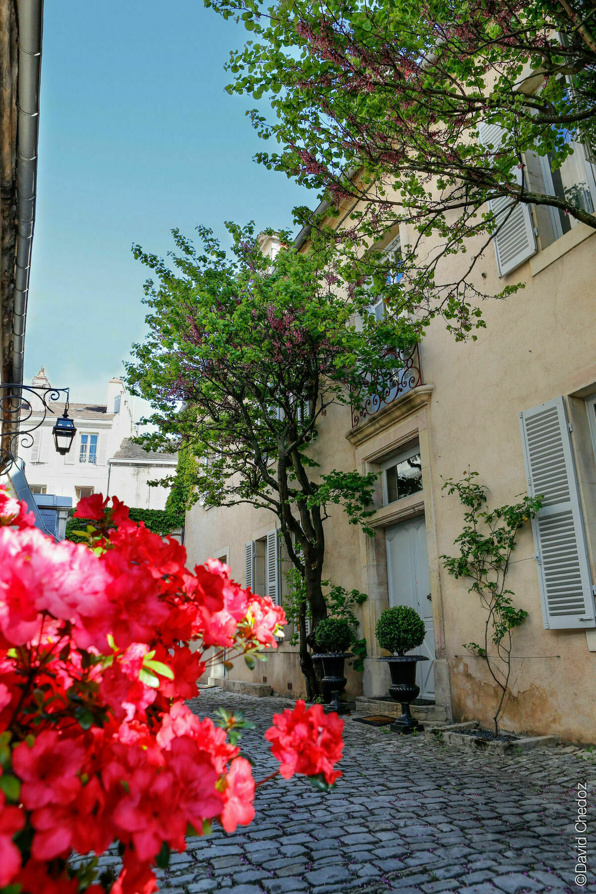 Hotel La Cour Berbisey - Teritoria Dijon Exterior foto